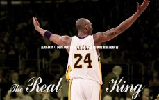 九游体育-无敌战绩！阿森纳双线领跑全面碾压德甲霸主稳居榜首